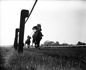 Jockeys Prints: Racing at Windsor. Lester Piggott riding Copernic into 3rd place in the 3