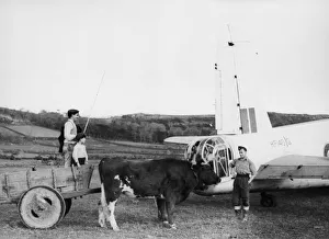 Portugal Prints: An RAF mechanic, working on a Coastal Command Wellington at the base in the Azores