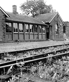 Railway lines at Chollerton are rapidly becoming overgrown with weeds and grass