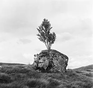 Landscape Prints: The Rannoch Rowan, a rowan tree growing out of a giant boulder on the desolate wilderness