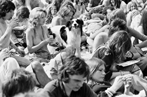 Hippy Prints: Reading Pop Festival. Festival goers with their pet dog watching the bands