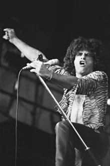 00854 Prints: Reading Rock Festival 1980, the 20th National Rock Festival