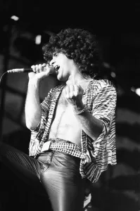 Reading Rock Festival 1980, the 20th National Rock Festival