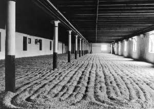 Whiskey Prints: The Real Scotch Whisky, after steeping'- soaking in spring water - the barley