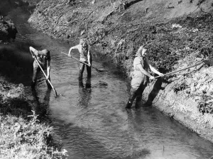 01179 Prints: Recruits of the Womens Land Army prepare for ploughing at Hanley Brook
