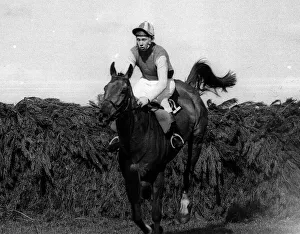 Red Alligator and Brian Fletcher win Grand National. 1968