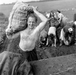 Vegetables Prints: Red-haired Alan Prescott, the St Helens and England Rugby League forward who switched