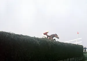 Red Rum and jockey Brian Fletcher win world-famous chase at Aintree Racecourse