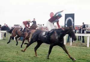 1974 Prints: Red Rum and jockey Tommy Stack taste defeat in the 1976 Grand National as Rag Trade