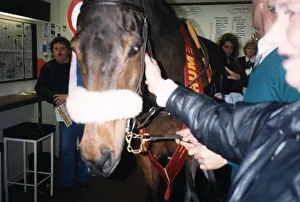 Racehorse Prints: Red Rum makes a personal appearance at Surrey Racing Bookmakers in Woking Surrey in March