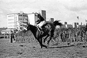 Red Rum winning the 1977 Grand National with Jockey Tommy Stack. 2nd April 1977