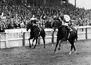 Winner Prints: Redcar Racecourse is a thoroughbred horse racing venue located in Redcar, North Yorkshire