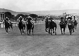 00613 Prints: Redcar Racecourse is a thoroughbred horse racing venue located in Redcar, North Yorkshire