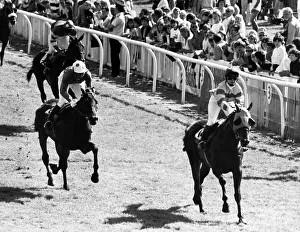 Redcar Racecourse is a thoroughbred horse racing venue located in Redcar, North Yorkshire