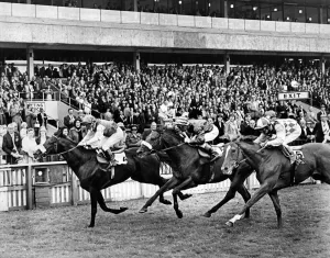 00612 Prints: Redcar Racecourse is a thoroughbred horse racing venue located in Redcar, North Yorkshire