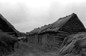 00014 Prints: Reed Cutter on the Norfolk broads. Our picture shows bundles of reeds left to dry out