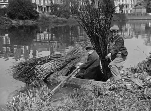 Reeds Prints: Reed Cutting on the Thames 1st May 1927 Within a stones throw of Chiswick church