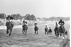Spectators Prints: Mill Reef extreme left seen here thundering up the hill to ein the 1971 Derby