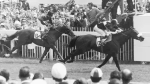 Derby Prints: Mill Reef and Geoff Lewis (17) seen here winning Britains premier classic