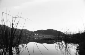 Reeds Prints: Refections in Loch Keel, County Donegal 2nd January 1977