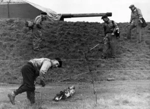 Reg Jones of Bootle climbing under barbed wire which surrounds four guns in the middle of