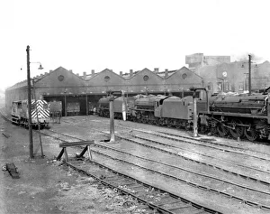 Some of the last remaining steam trains of British Rail stand outside Kingsmoor