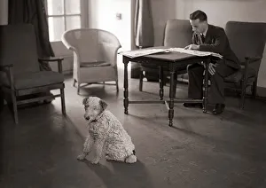The reserve Rattray Head lighthouse keeper reads his newspaper as his dog stands guard
