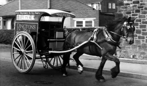 Equestrian Prints: The residents of Annfield Plain and Stanley got a glimpse of the past when the Ringtons