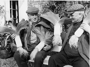 Two residents of Haltwhistle, Northumberland showing off their giant leeks