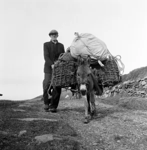 01165 Prints: The last twenty three residents of Inishark Island (sometimes called Shark Island)