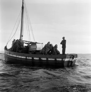 01165 Prints: The last twenty three residents of Inishark Island (sometimes called Shark Island)