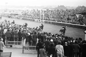 The rest of the field in the Andy Capp Handicap crosses the line after Cliff Parkes