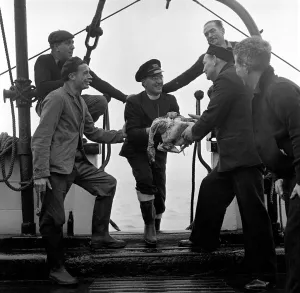 Rev. Hubert Walters visits Bristol lightships to deliver the turkey for Christmas day