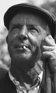 Road Sweeper George Pearce seen here watching the house sparrows that have nested in