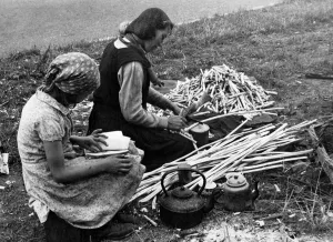 Gypsy Prints: Roadside peg industry carried on by gypsies in between their seasonal farm work