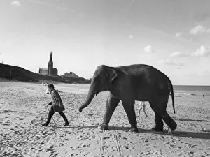 Robert Raven walks an elephant on the beach at Tynemouth from Gerry Cottle Circus