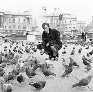 Birds Prints: Robert Vaughn, actor who plays the role of secret agent Napoleon Solo in NBC show The Man