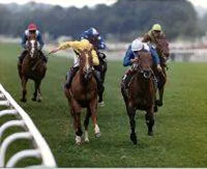 Ascot Prints: Rock Hopper right wins the Hardwicke Stakes beating Sapience (left