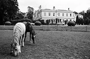 Rod Stewart Collection: Rod Stewarts house in Windsor, Berkshire. 25th July 1975