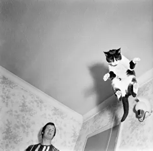 Roger the troublesome cat burglar: Roger cases a job- jumps up upon the door