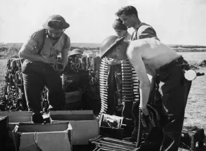Royal Air Force fighters gave cover to the Allied shipping at Algiers, Algeria