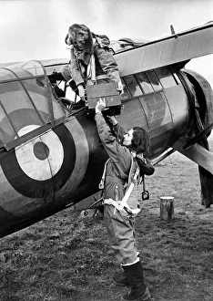 Royal Air Force Women Wrens attached to the Fleet Air Arm