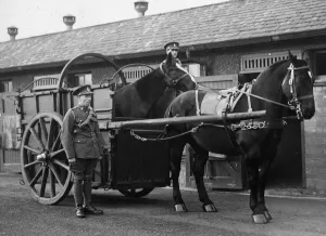 The Royal Army Veterinary Corps Hospital for sick horses at the Royal Reserve Veterinary
