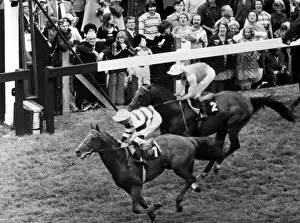 00003 Prints: Royal ascot gold cup day 1st - Sagaro (L Piggott) 2nd - Crash Course ( B Taylor