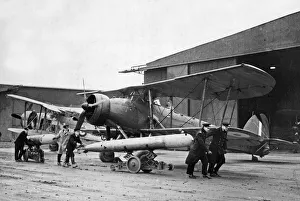 Planes Prints: Royal Navy Fleet Air Arm pilots in training exercises during the Second World War
