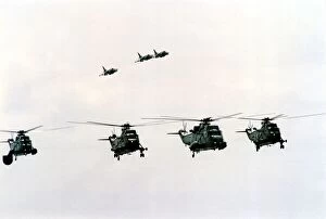 00359 Collection: Four Royal Navy Sea King helicopters and three Sea Harriers in flight
