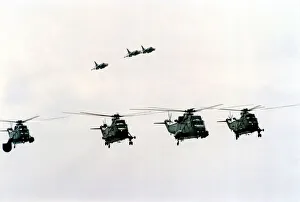 00359 Prints: Four Royal Navy Sea King helicopters and three Sea Harriers in flight