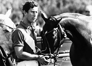 00127 Prints: Royal romance enthusiasts were out in force at Windsor Great Park when Prince Charles