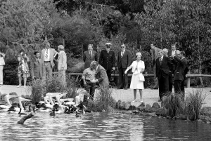 Australasia Prints: Royal Silver Jubilee Tour 1977 The Queen finds the Pelicans