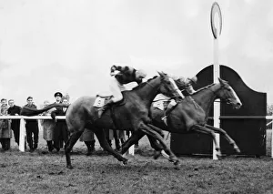 Royal Tan wins by a neck the 1954 Grand National from Tudor Line 10 April 1954